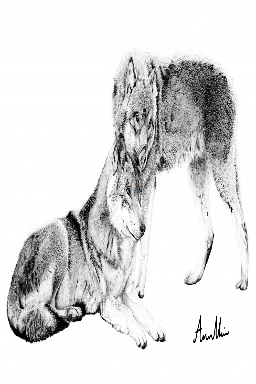 A Drawing Of Two Wolves : r/drawing