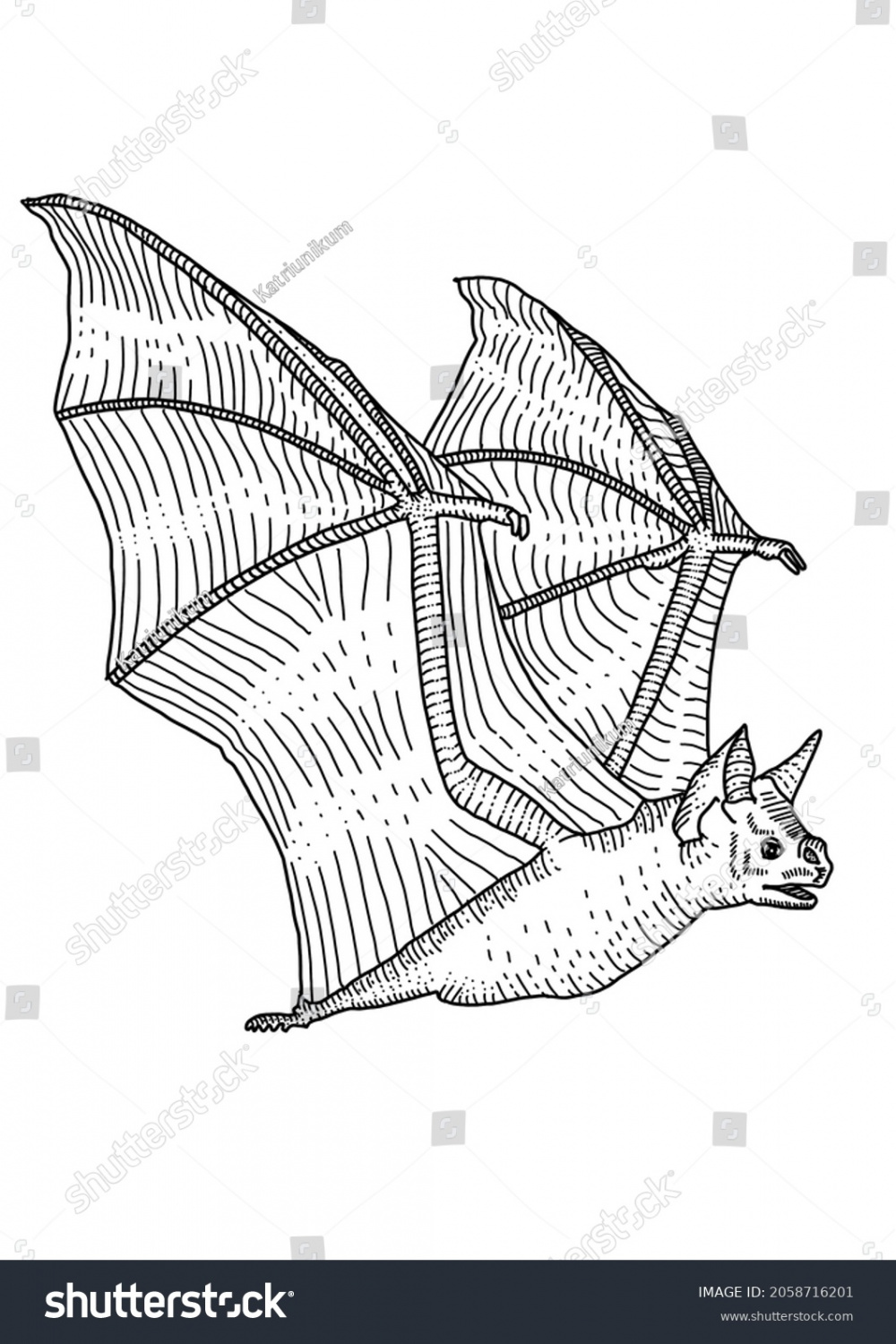 Bats Side View Royalty-Free Images, Stock Photos & Pictures