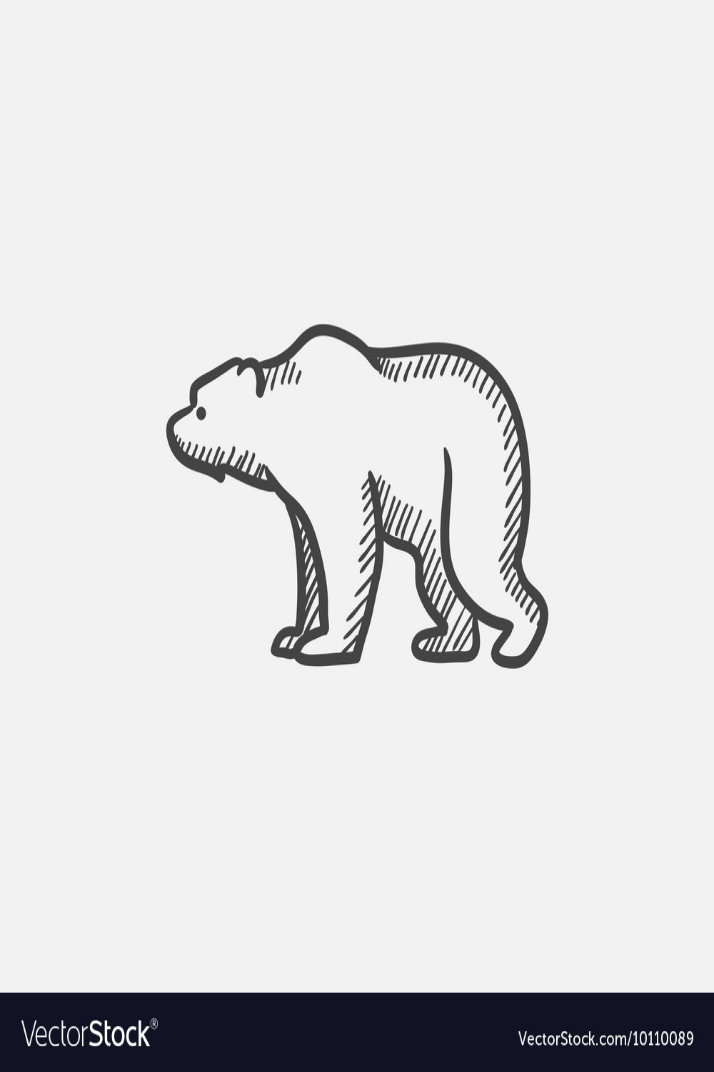 Bear sketch icon Royalty Free Vector Image - VectorStock