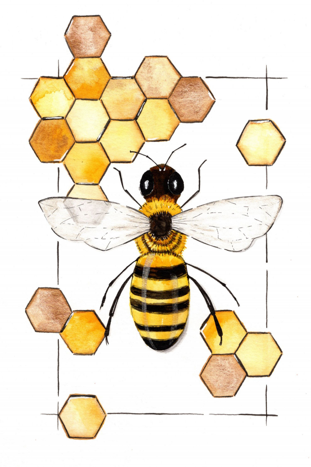 bee honeycomb art print - Google Search  Bee painting, Bee