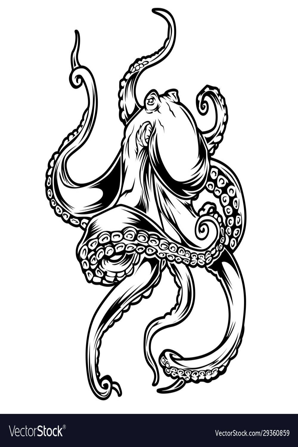 Big octopus drawing black amp white Royalty Free Vector