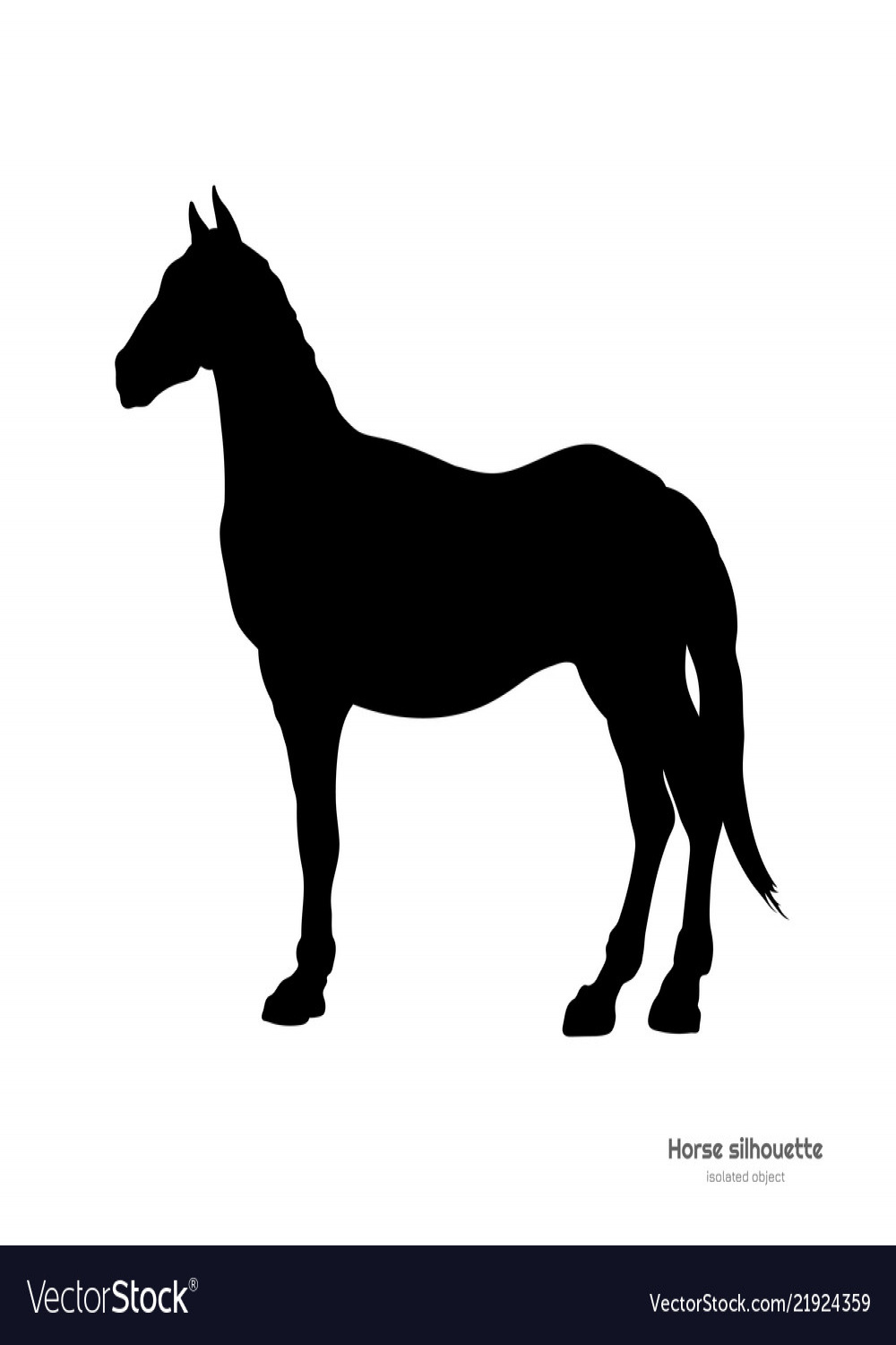 Black silhouette of horse isolated drawing Vector Image