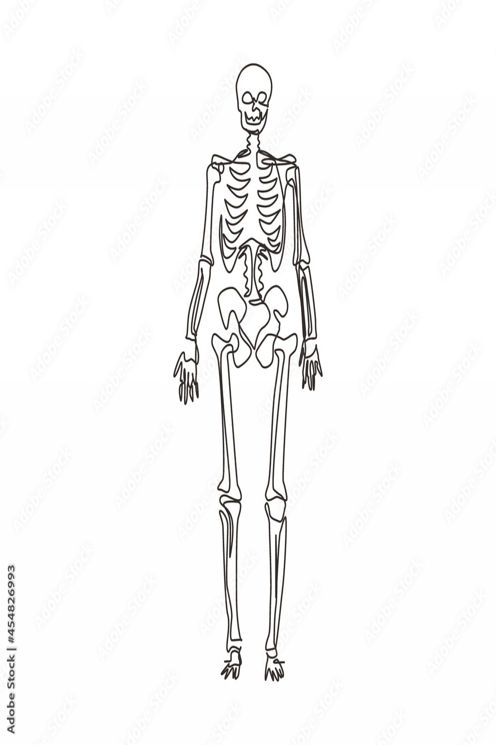 Continuous one line drawing human skeleton image, useful for