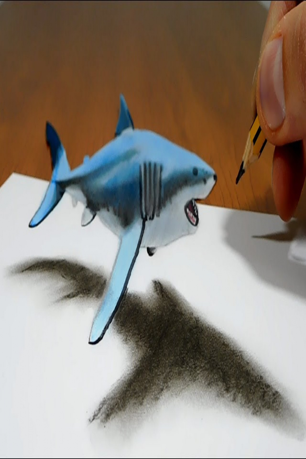 D Trick Art on Paper Floating Shark