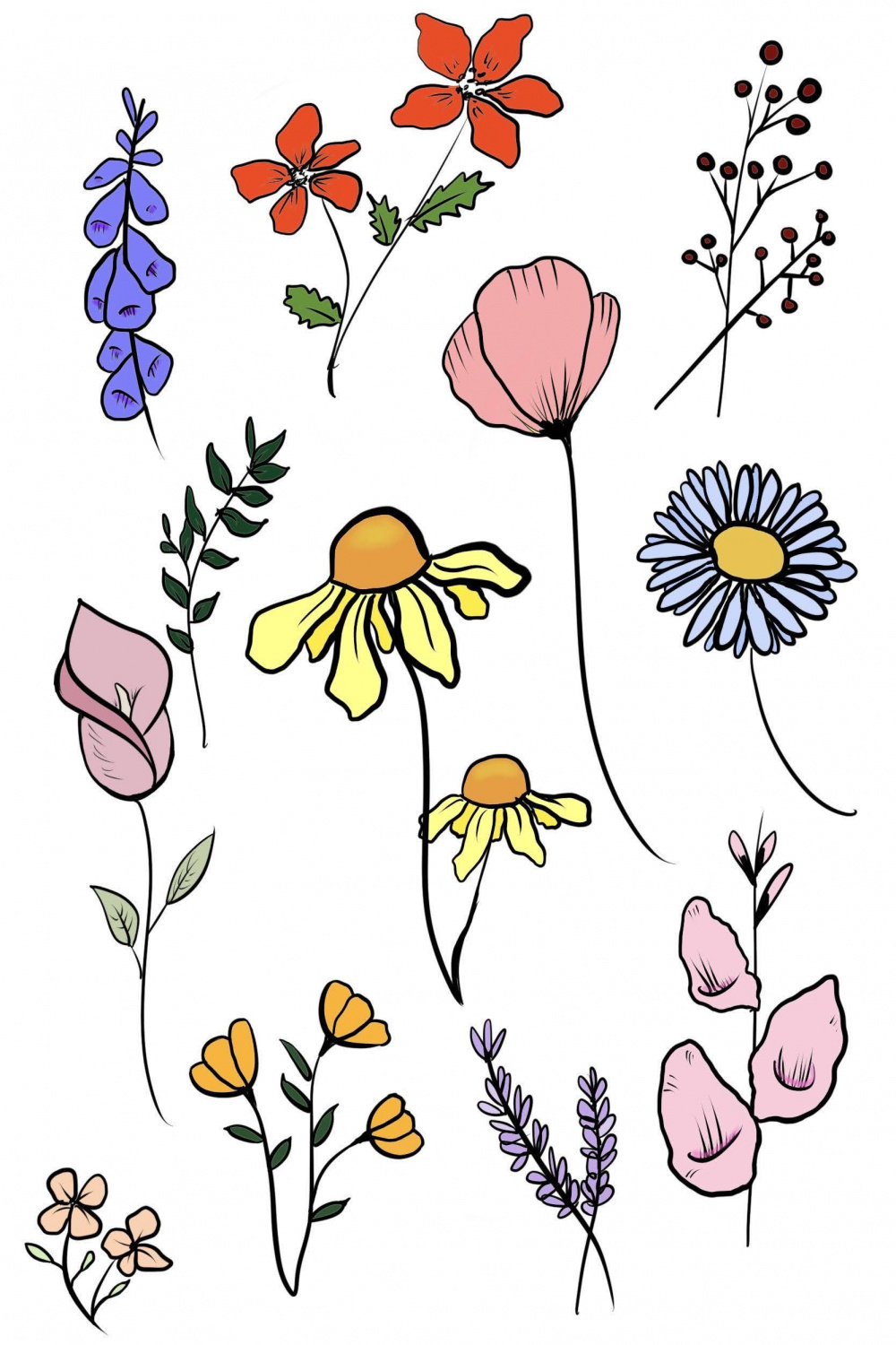 Digital art flowers  Cute flower drawing, Wildflower drawing