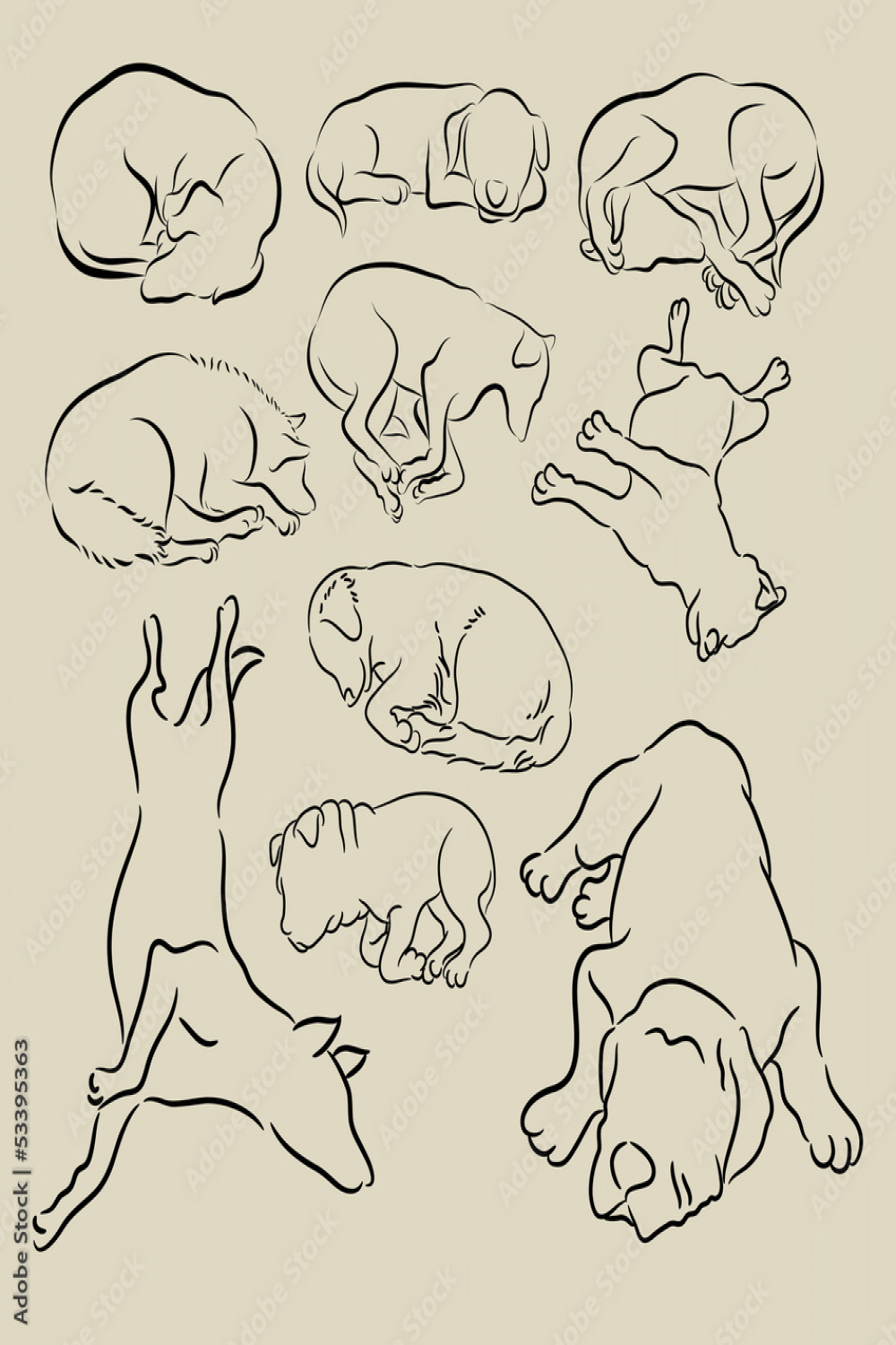 Dog Sleeping Sketches Stock-Vektorgrafik  Adobe Stock