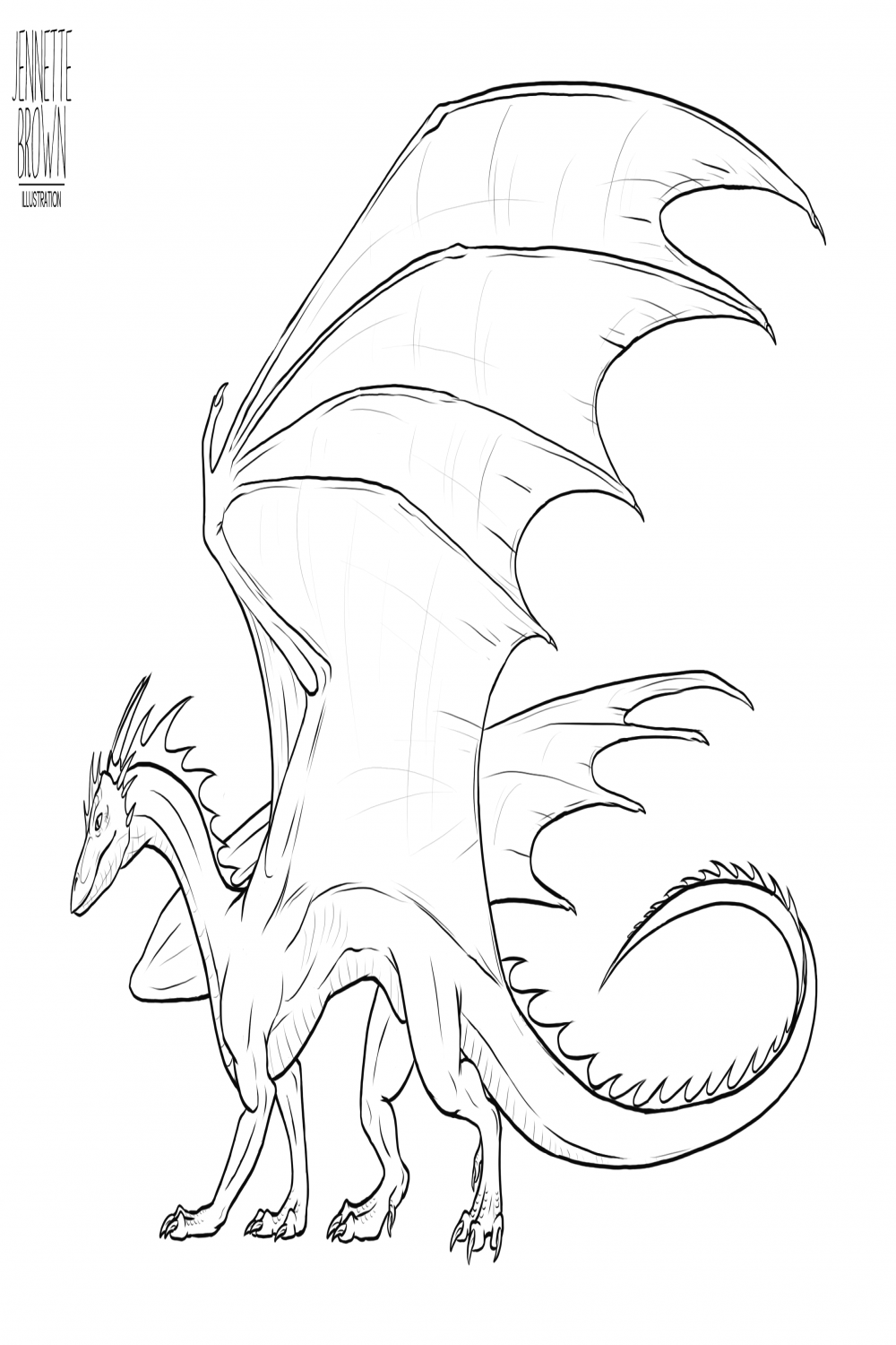 Dragon Lineart Template  by sugarpoultry on DeviantArt