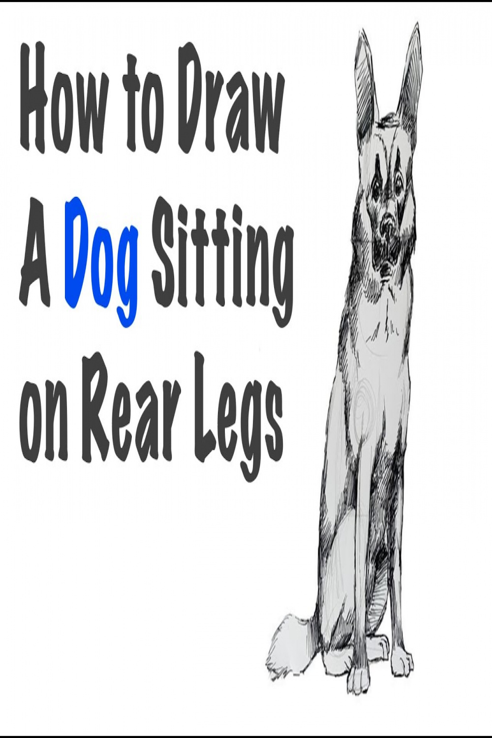 Draw a Dog Sitting on Rear Legs  easy drawing tutorial