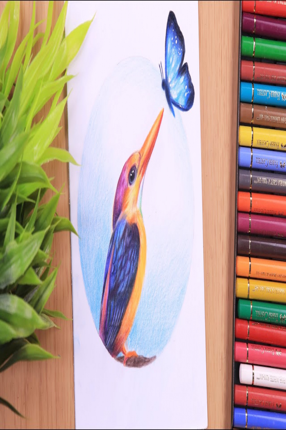 Draw Bird and Butterfly with Colored pencils  Tutorial for BEGINNERS