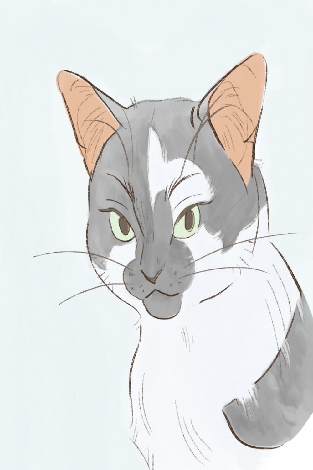 draw your cats in my unique style