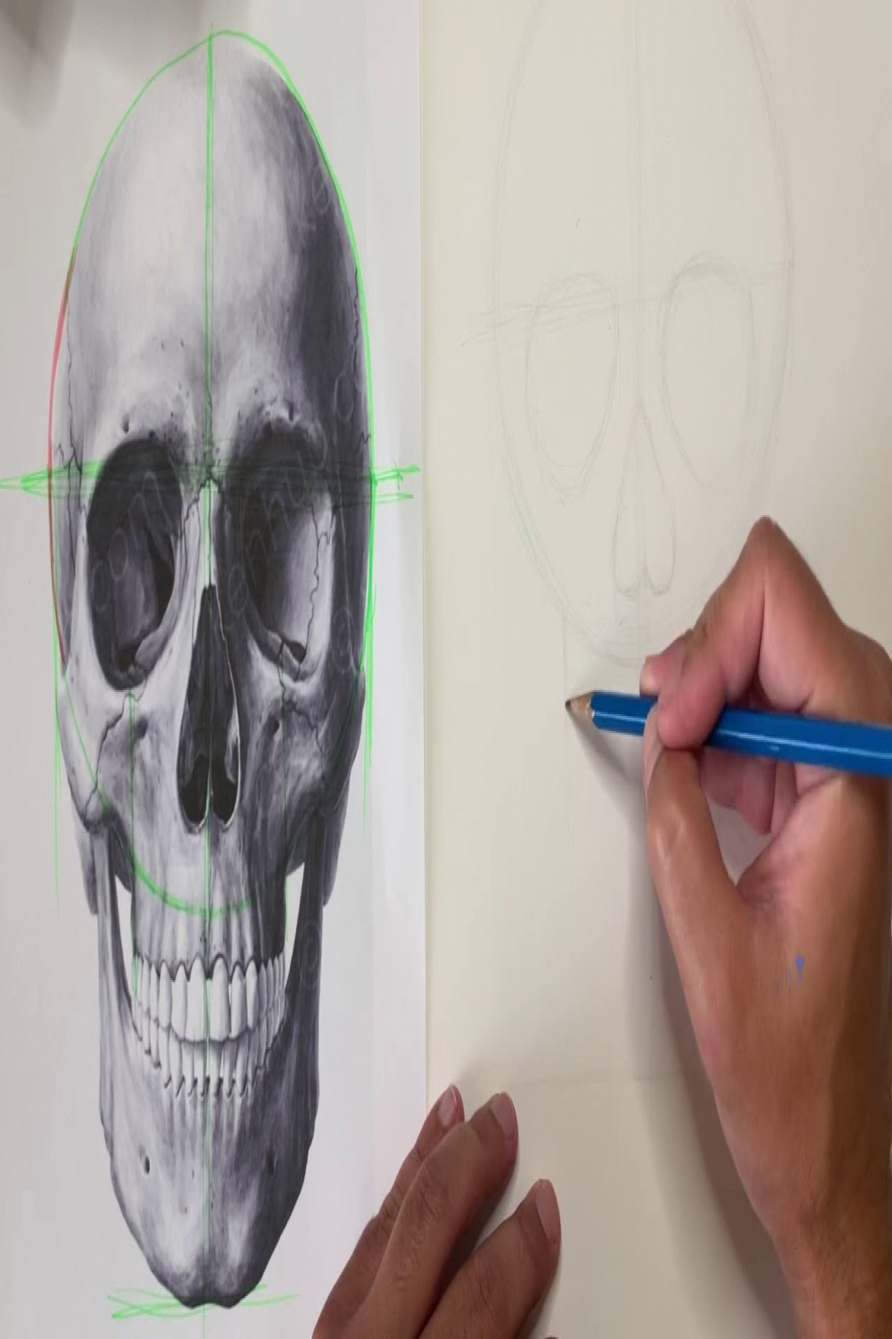 Drawing a Human Skull: Proportion and Shading