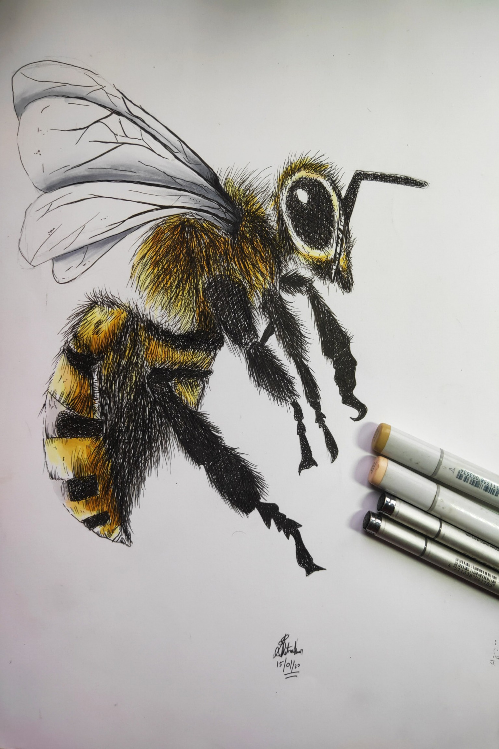 DRAWING BEE  COPIC AWARD  OFFICIAL WEB SITE