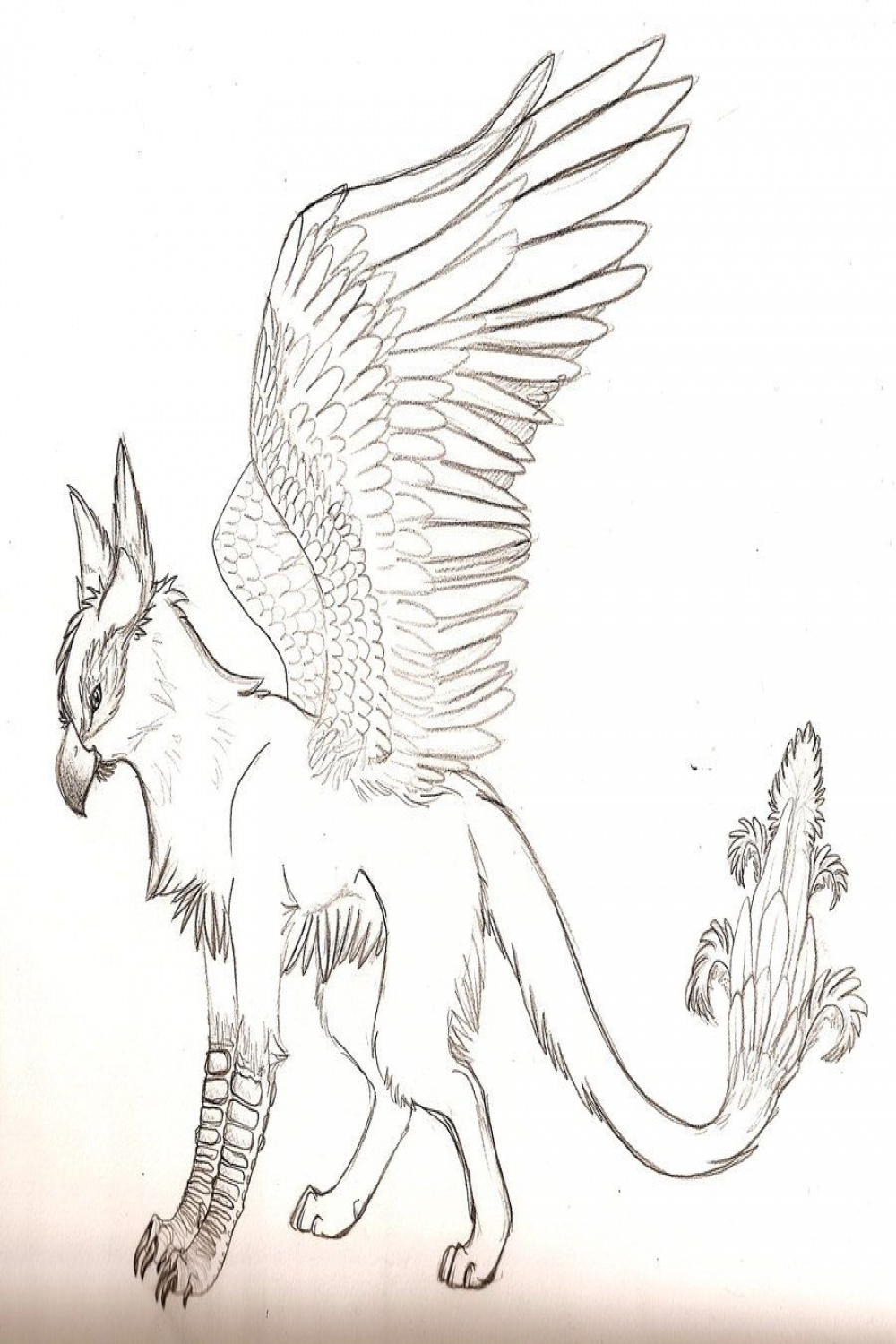 drawing mythical creatures  Mythical creatures drawings, Animal