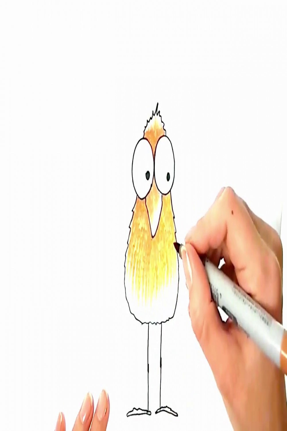 Drawing of a Silly Bird with Big Eyes - Simple Drawing