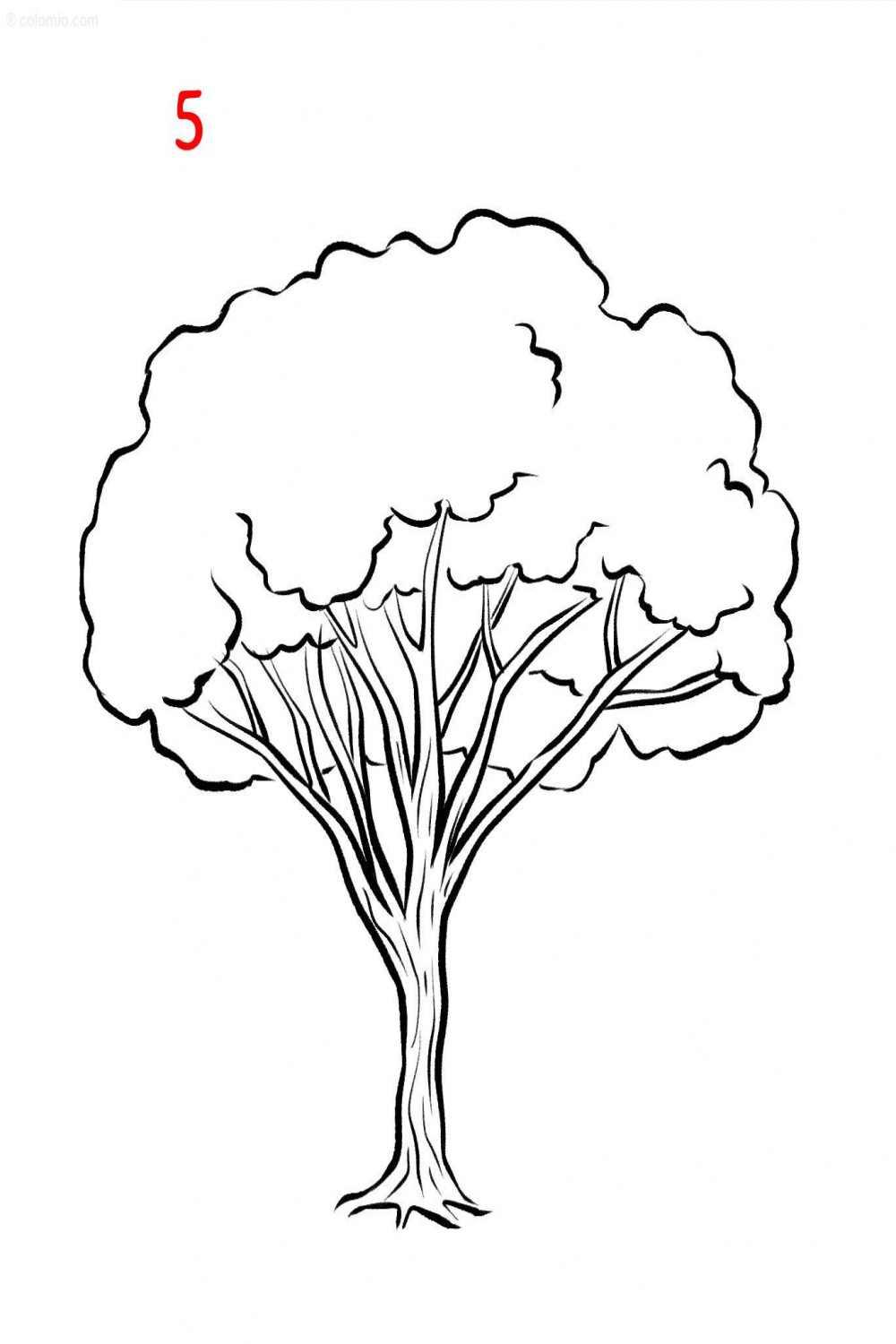 Easy Tree Drawing » How to draw a Tree