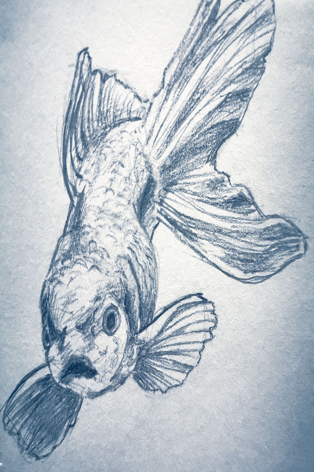 First attempt to draw a fish. Harder than it looks