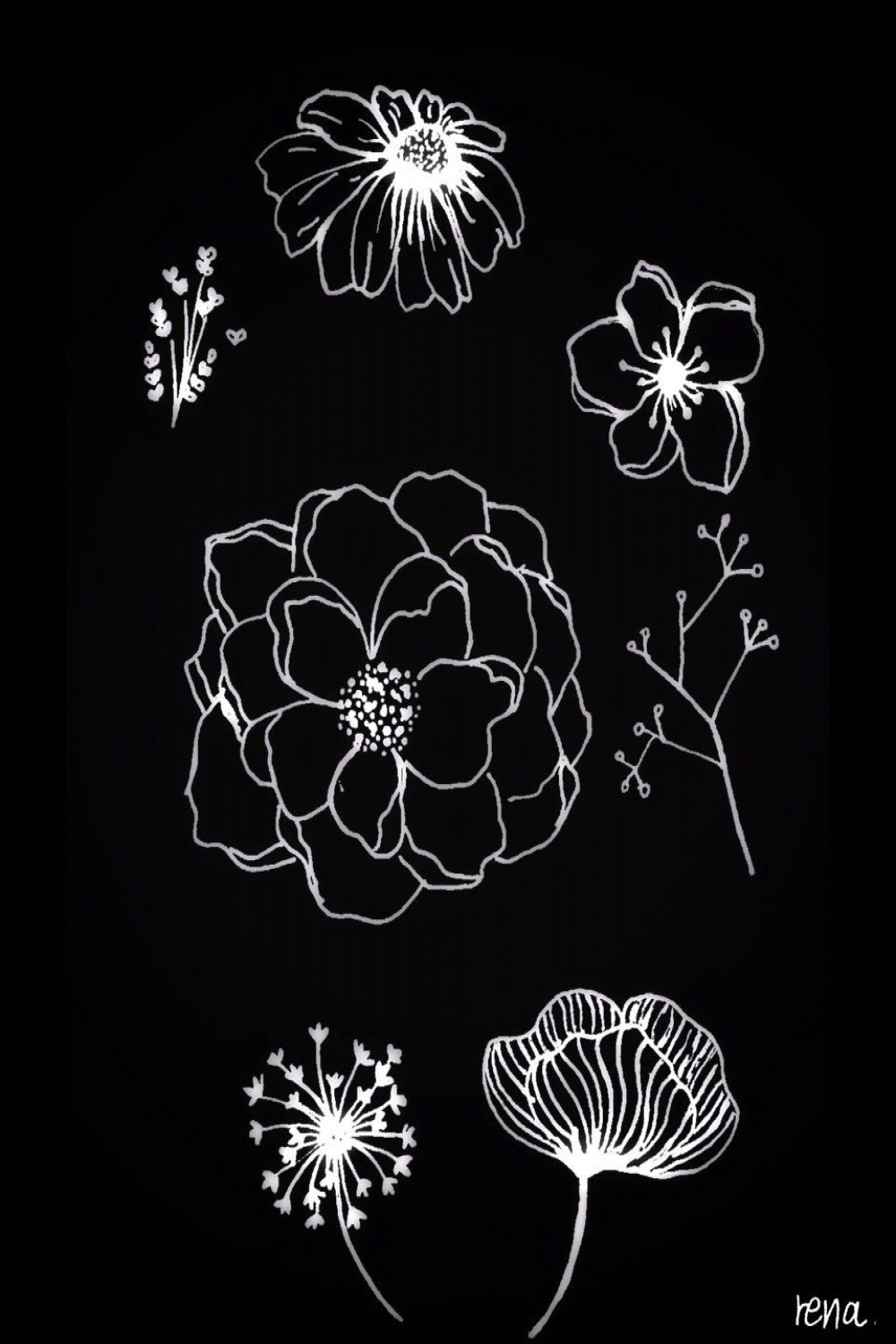 Flowers drawn on black paper  Black paper drawing, Flower drawing