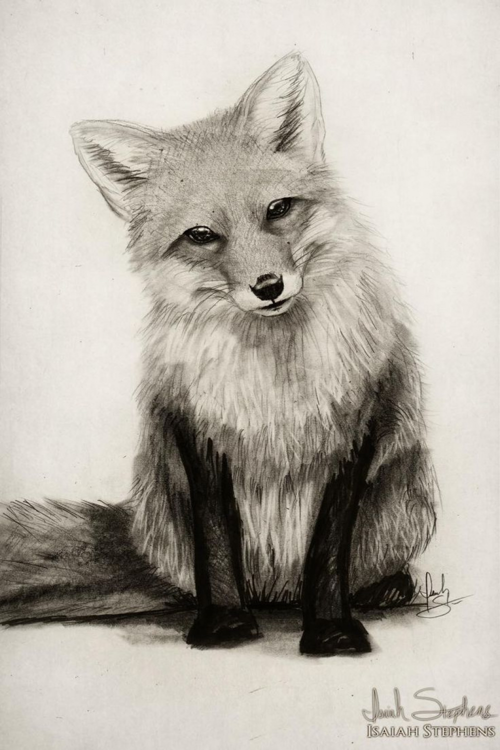 Fox Say What? by IsaiahStephens on DeviantArt  Fox drawing