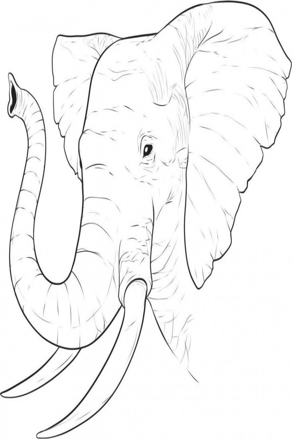 Free Printable Elephant Coloring Pages For Kids  Elephant drawing