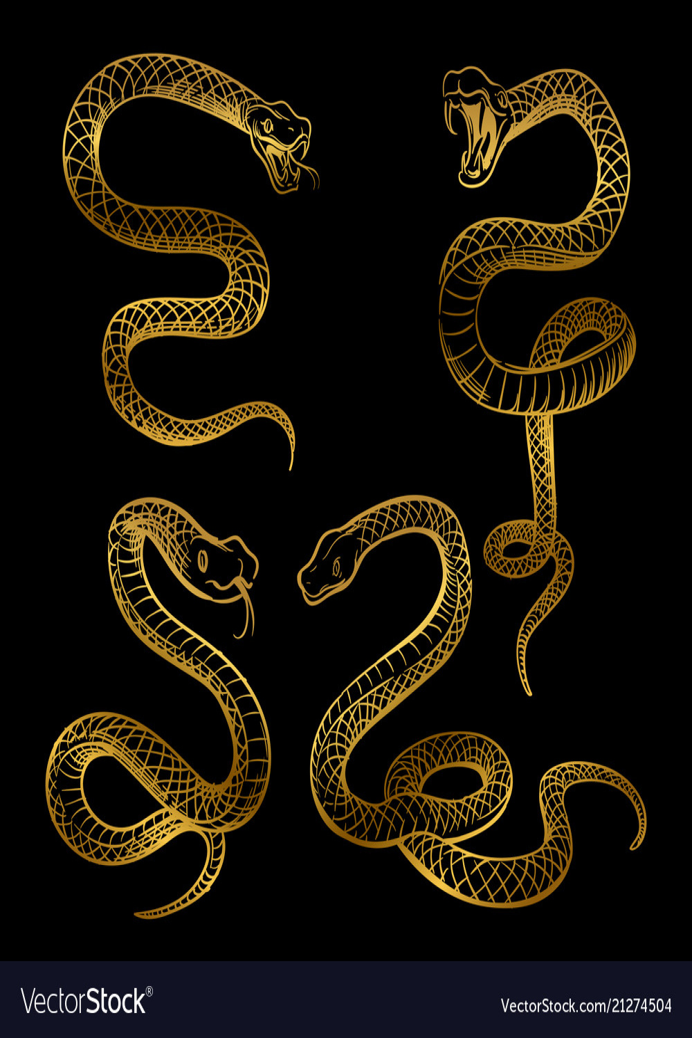 Golden snake set hand drawn snakes Royalty Free Vector Image