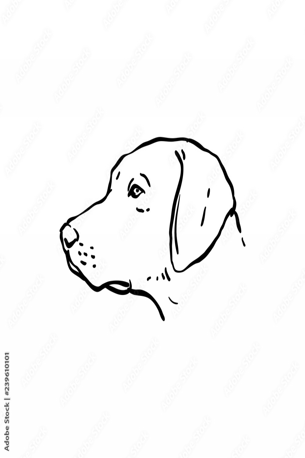 Hand Drawn Dog Illustration Side View Stock-Vektorgrafik  Adobe Stock