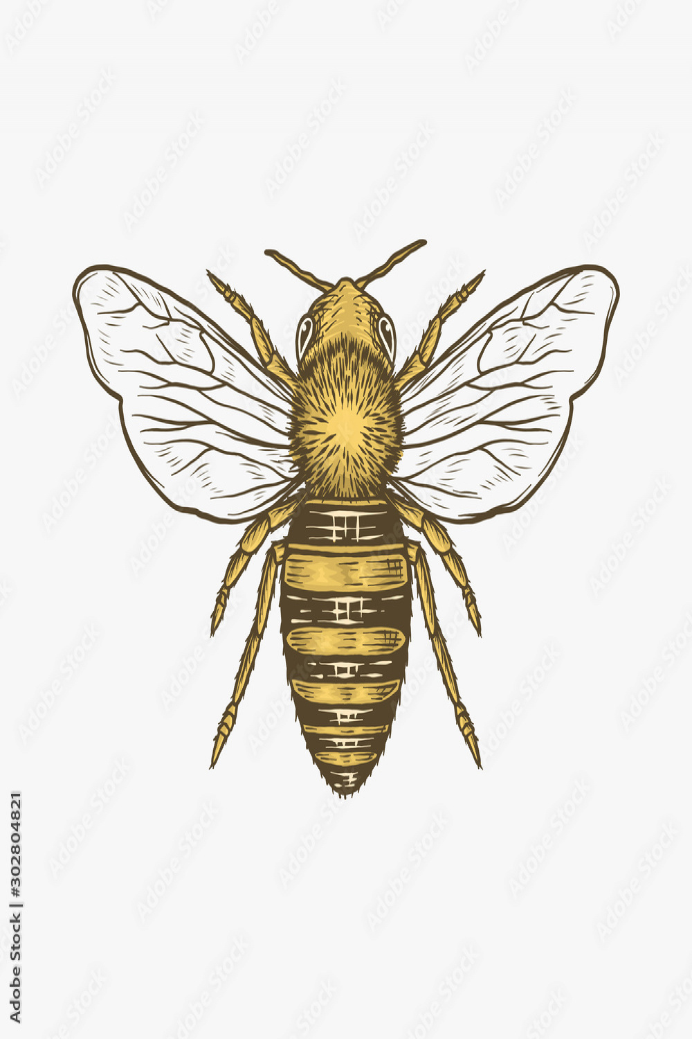 Honey Bee Drawing Engraving Illustration Stock-Vektorgrafik