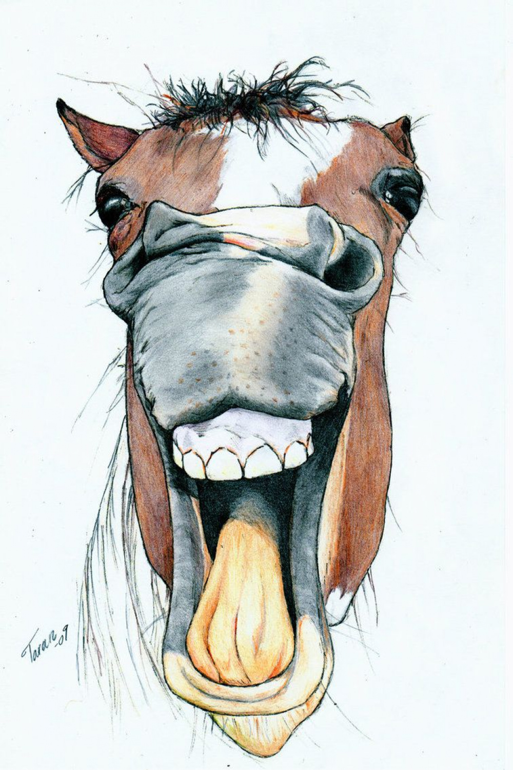 Horsie by Adniv  Horse drawings, Horse art drawing, Horse drawing