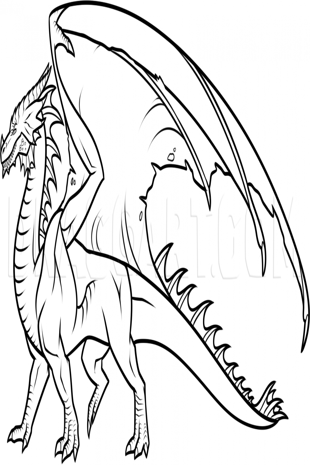 How To Draw A Dragon Body, Step by Step, Drawing Guide, by Dawn