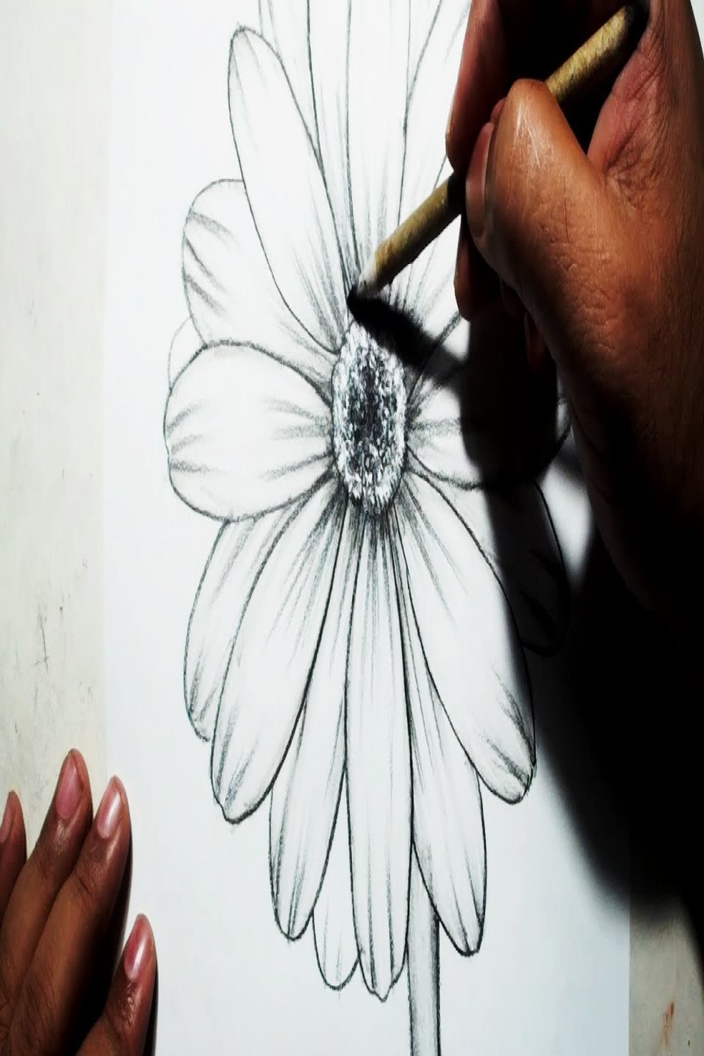 How to Draw A flower  Easy Pencil Drawing