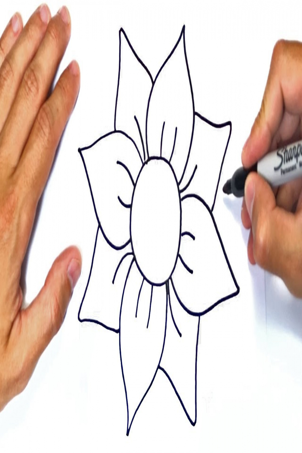 How to draw a Flower Step by Step  Easy drawings