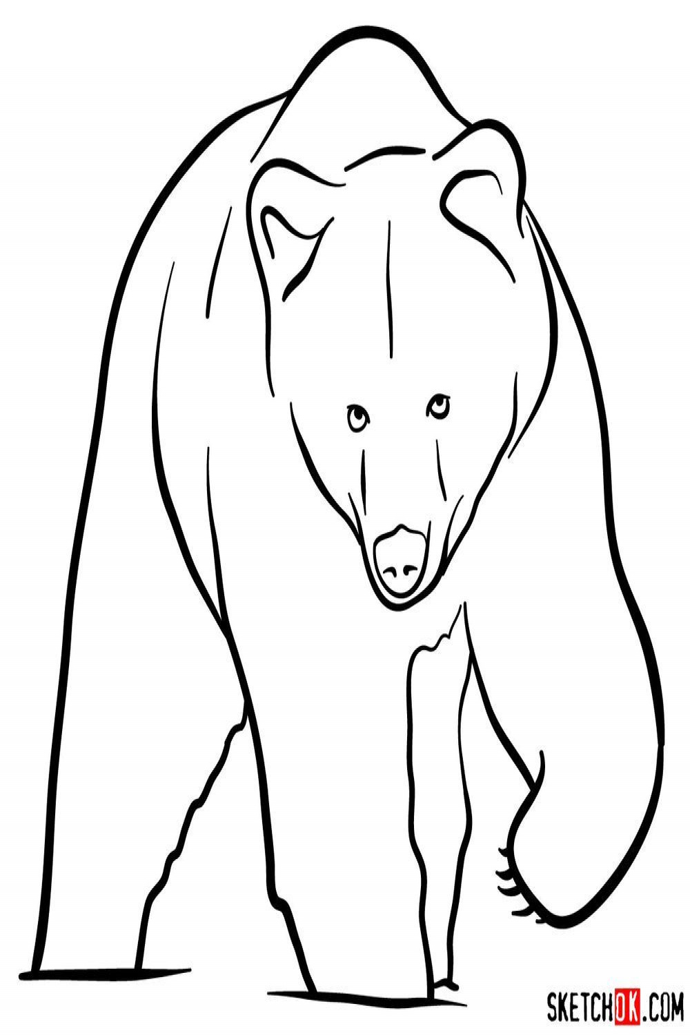 How to draw a grizzly bear (front view)  Drawings, Bear sketch