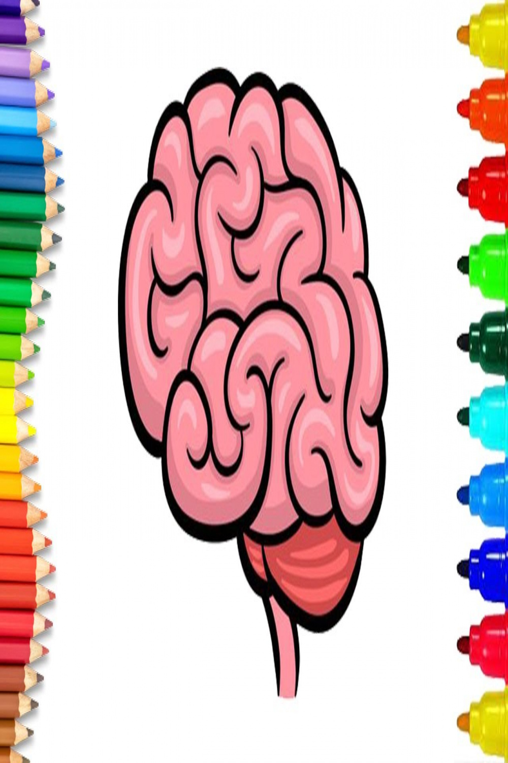 How to draw a Human Brain step by step  Human Brain Drawing