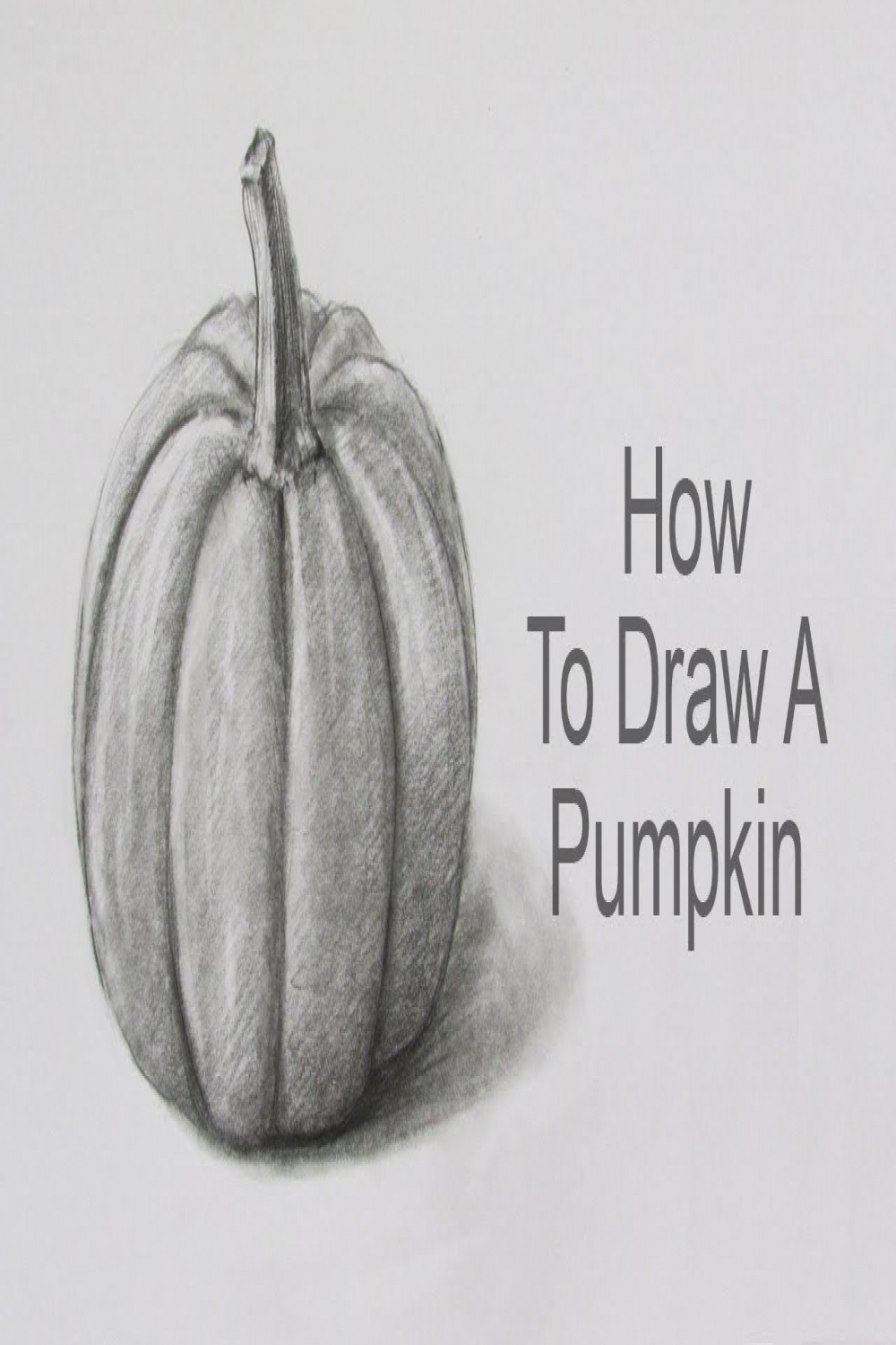 How To Draw A Pumpkin Step By Step: Pencil Sketch Pumpkin Drawing