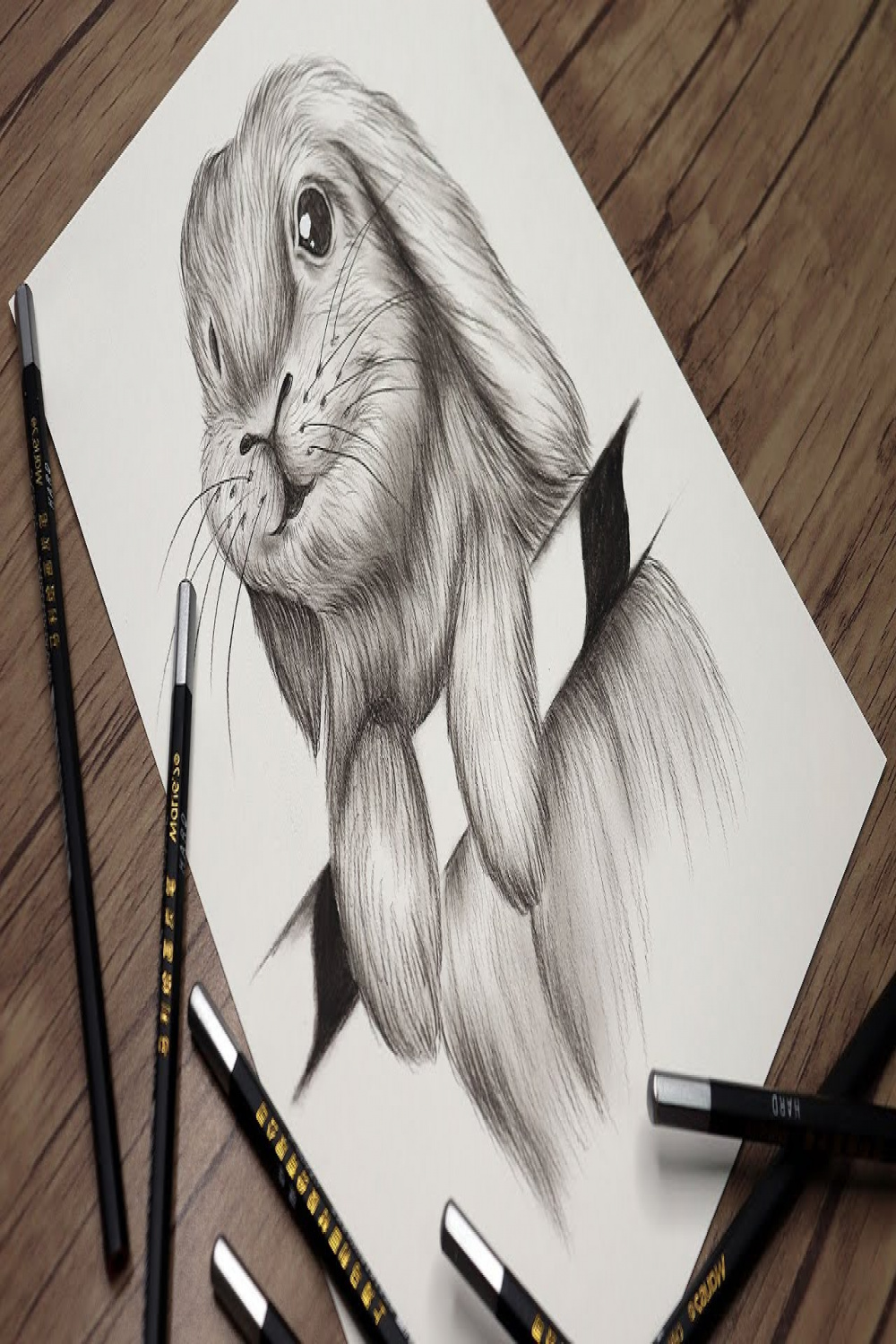 How to Draw a Rabbit Step by Step  Animals Drawing  Pencil Sketch tutorial