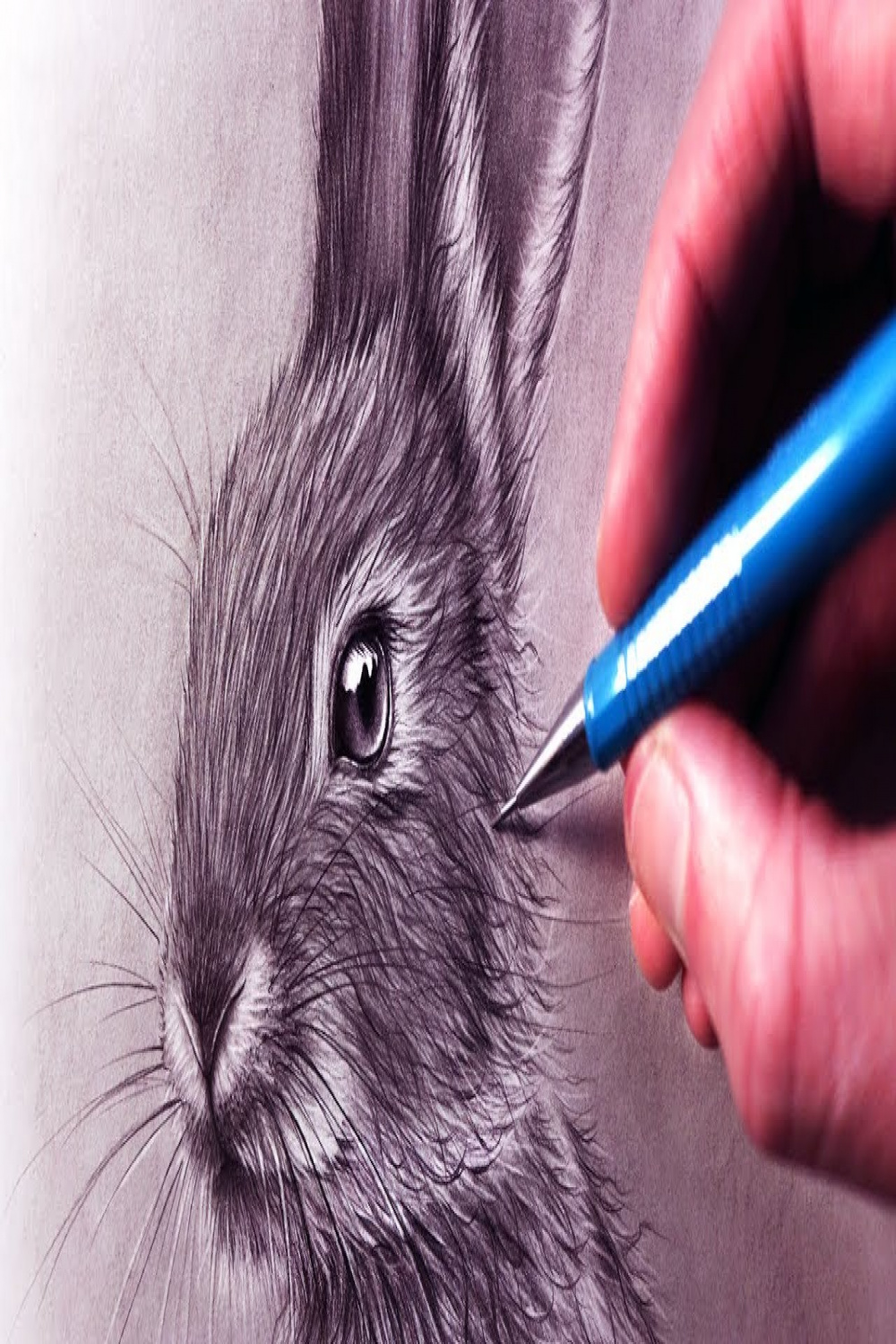 How to Draw a Rabbit