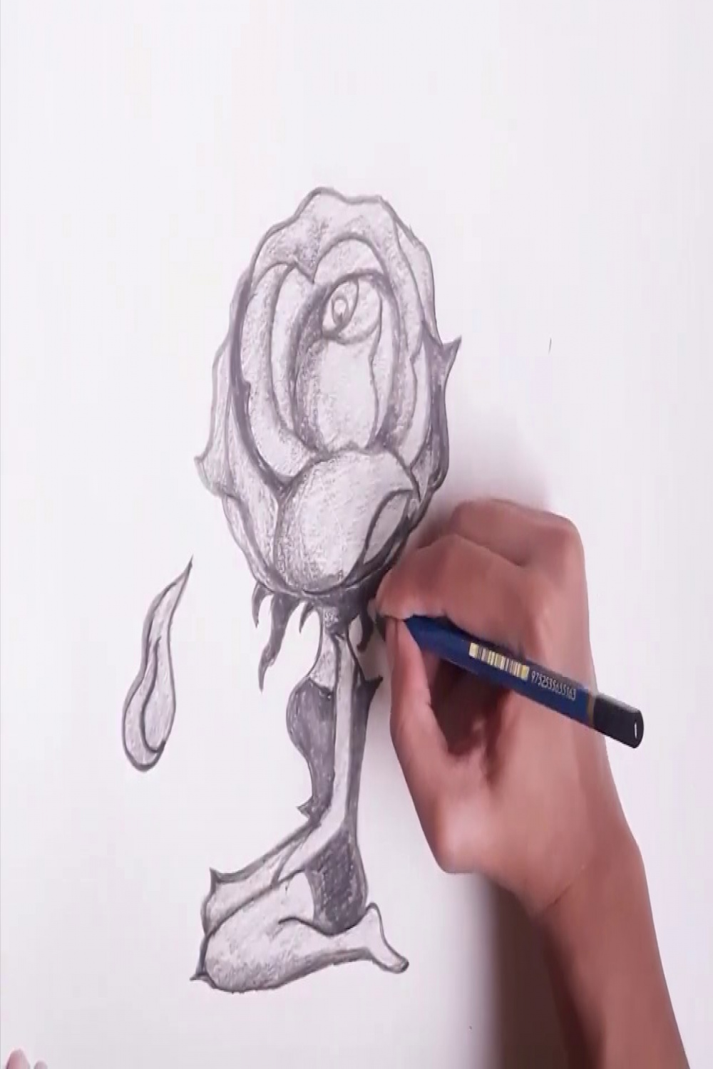 How to draw a Rose with a human body step by step pencil sketch