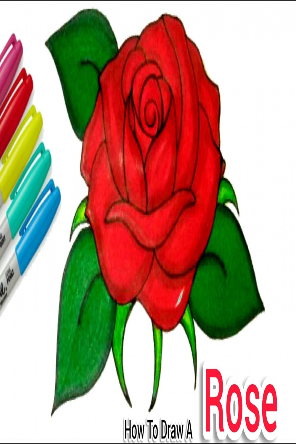 How To Draw + Colour A Rose / Open Rose Step by Step For Beginners   Cartooning cute drawings