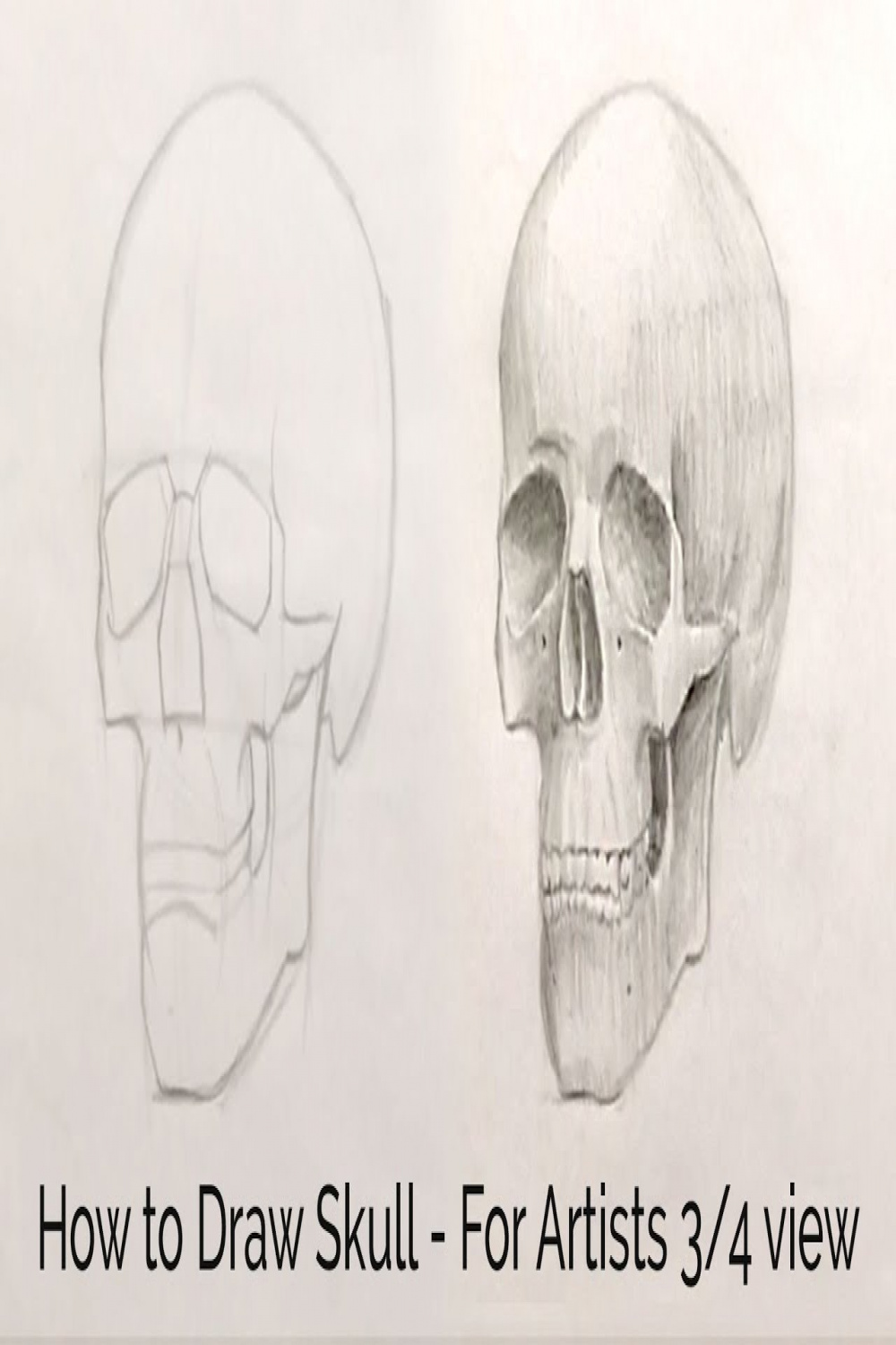 How to Draw Skull - For Artists / view