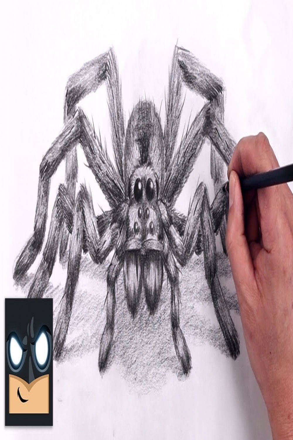 How To Draw Wolf Spider  Sketch Tutorial (Step by Step)