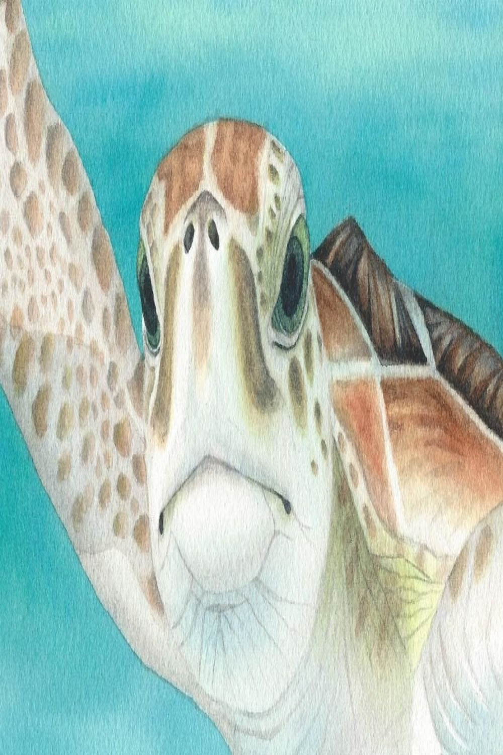 How to Paint a Realistic Sea Turtle in Watercolor