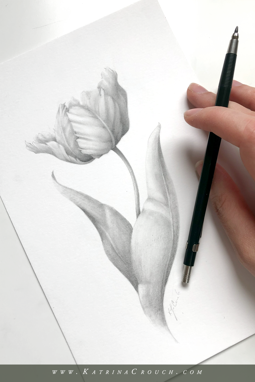 How to Shade Flowers with a Pencil — Katrina Crouch  Blushed Design