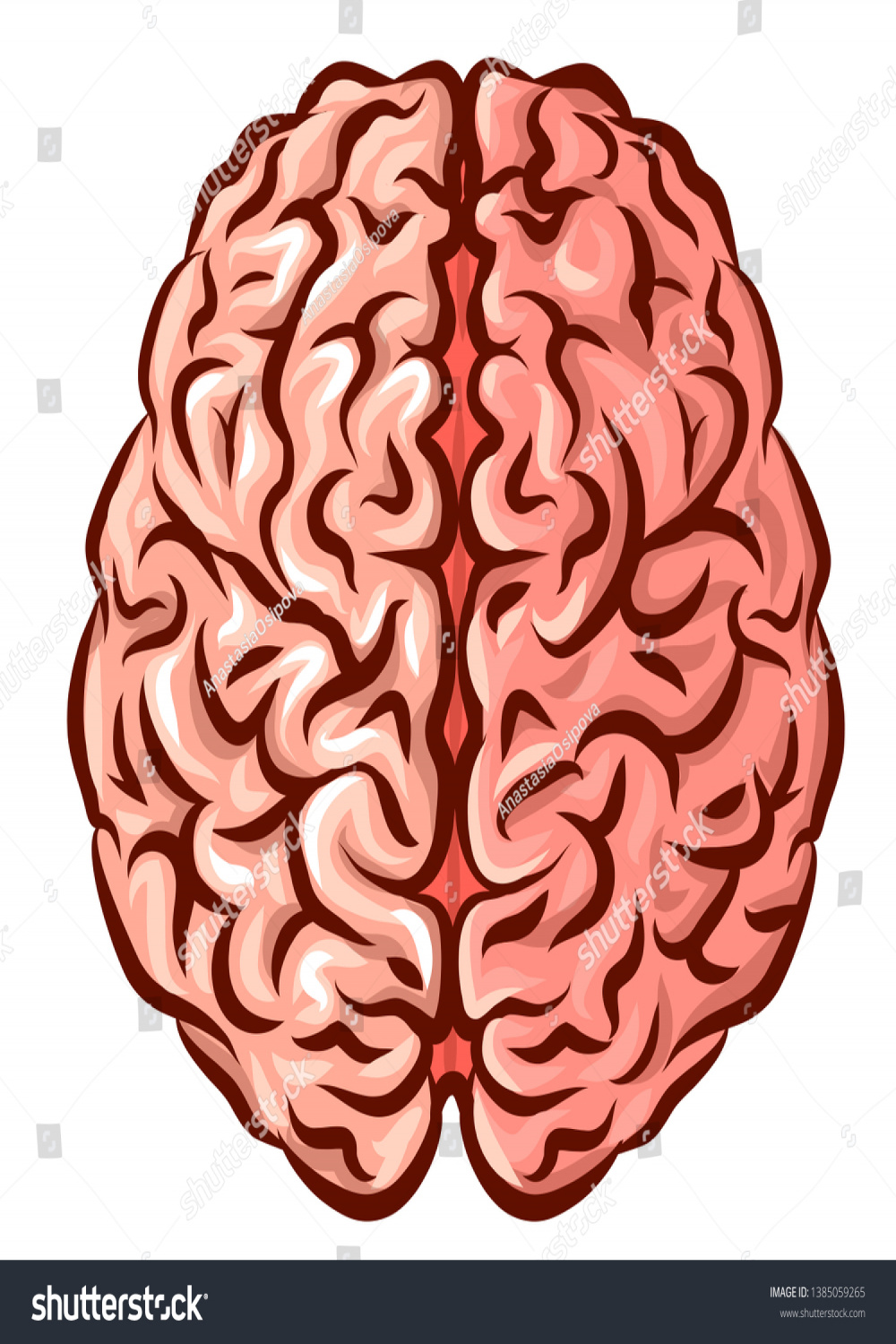 Human Brain Graphic Colored Drawing Brain: Stock-Vektorgrafik