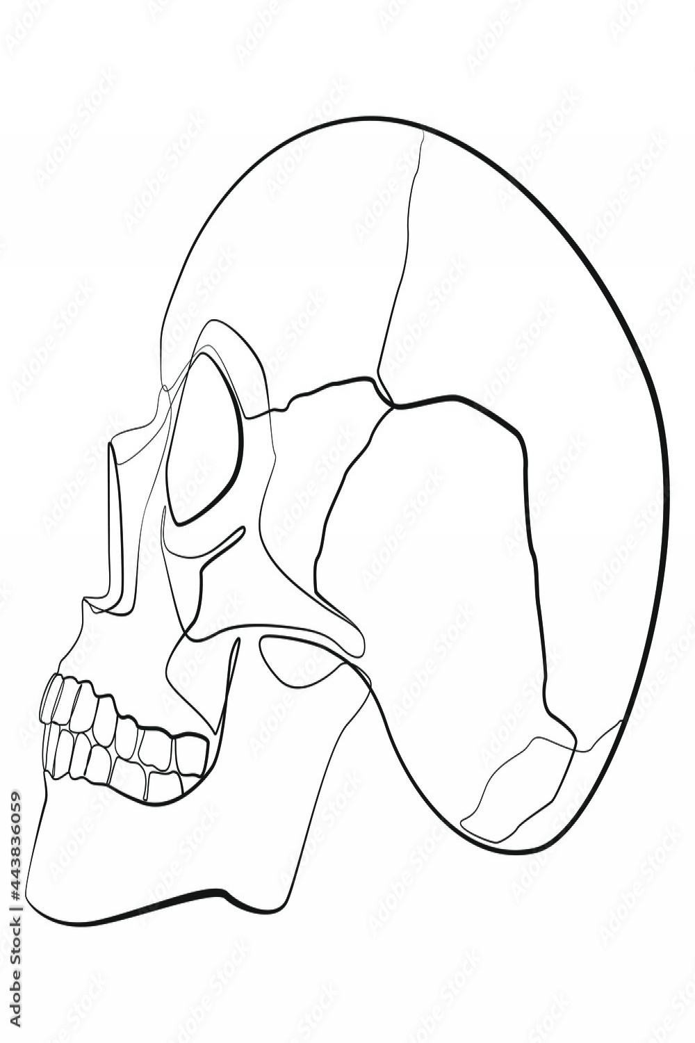 Human skull side view line drawing on white isolated background