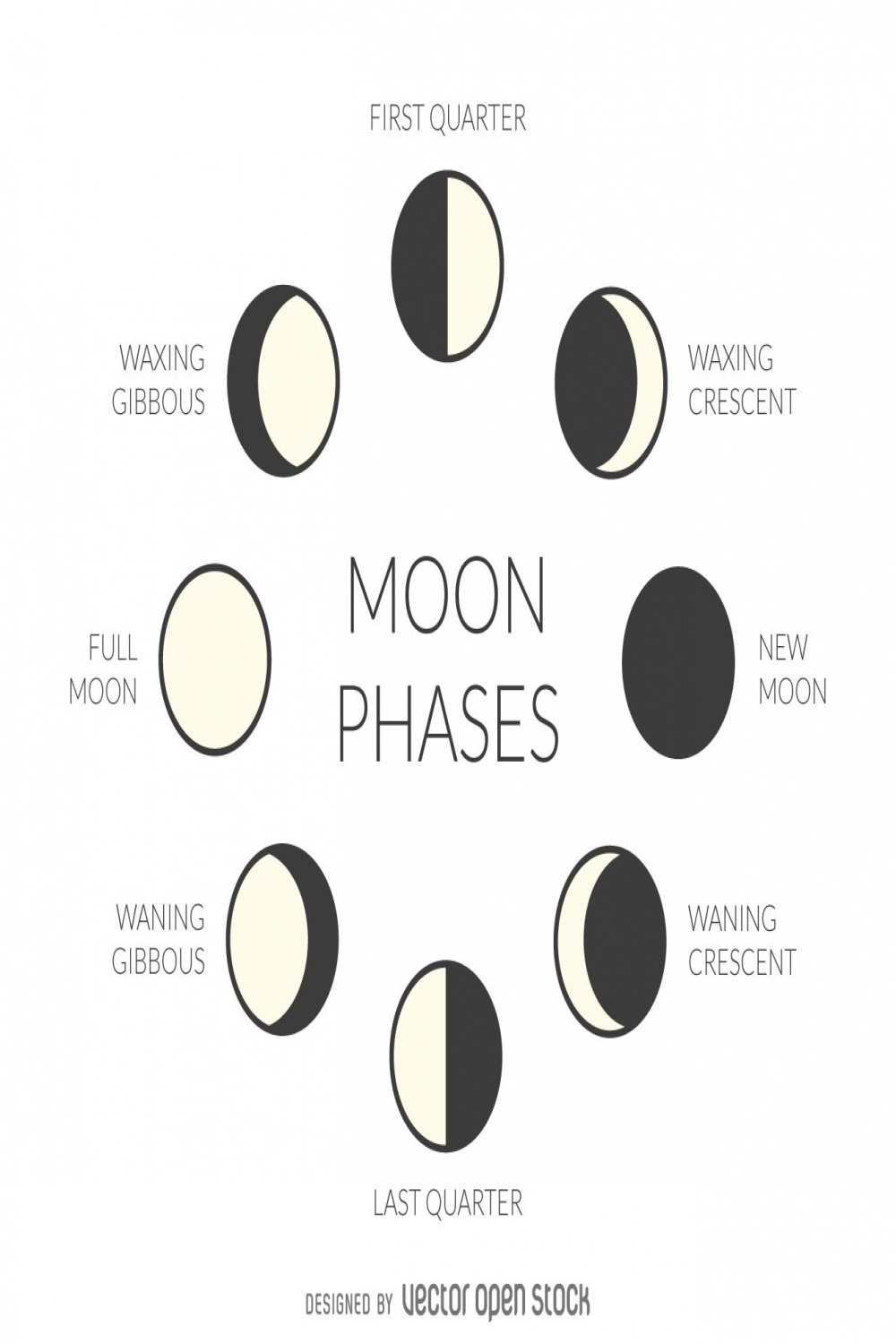 Illustrated moon phases