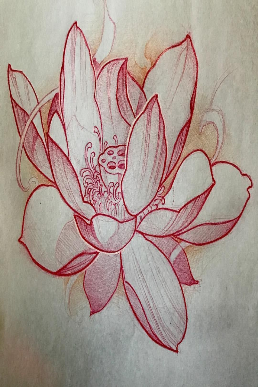 Japanese Lotus Flower Drawing  Japanese flower tattoo, Lotus