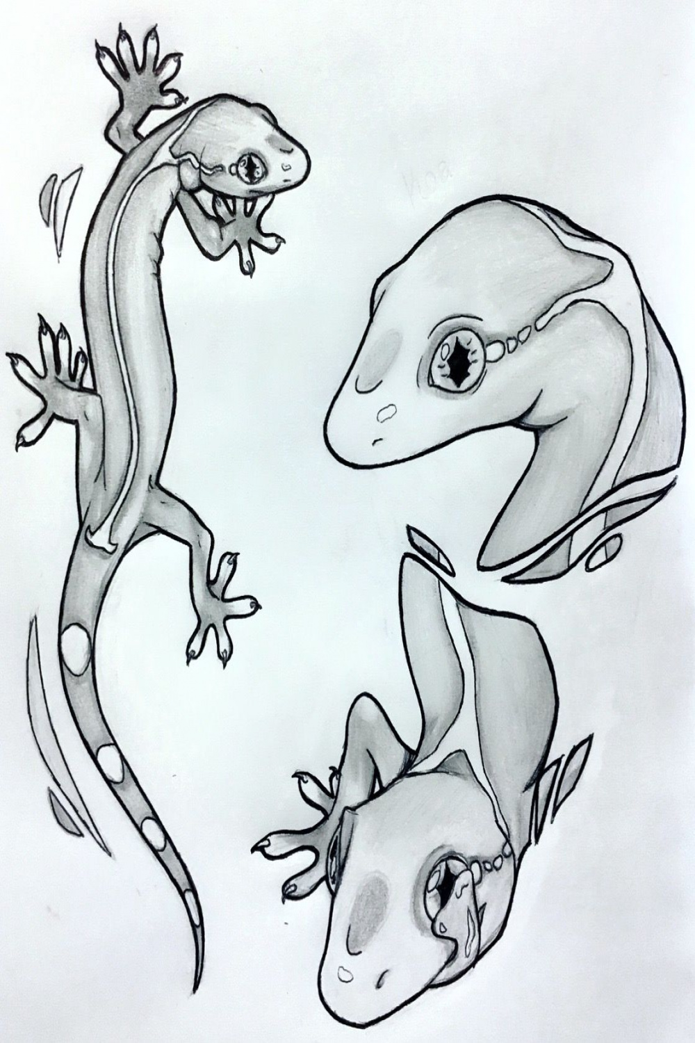 Koa, gekko, lizard drawing  Doodle art designs, Sketchbook art