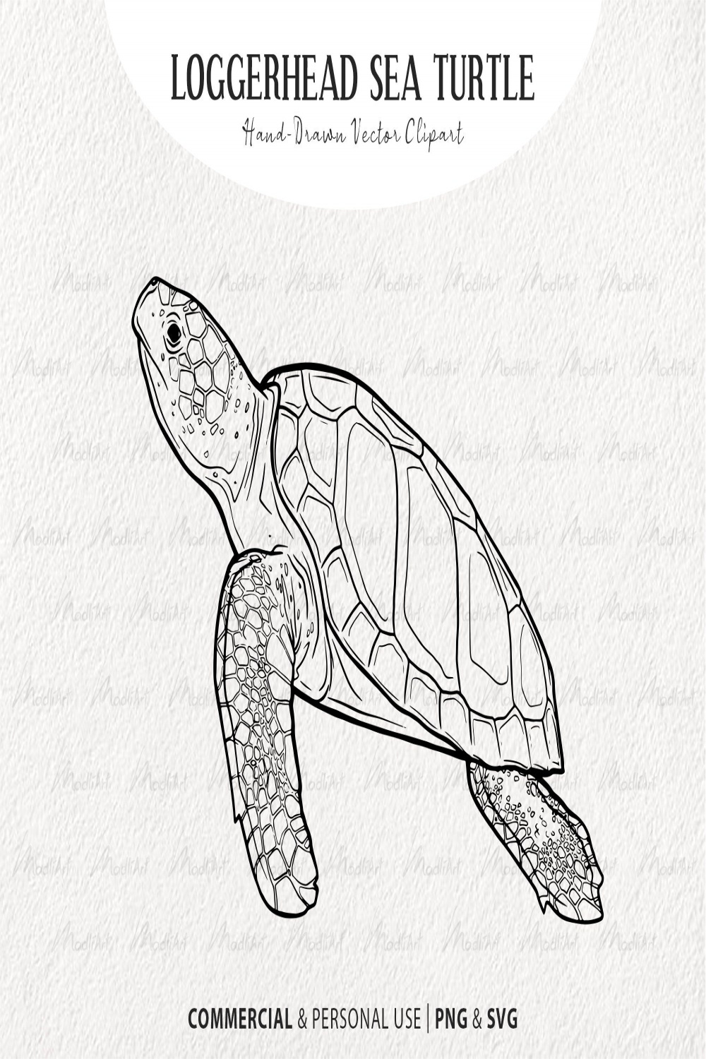 Loggerhead Sea Turtle Vector Clip Art