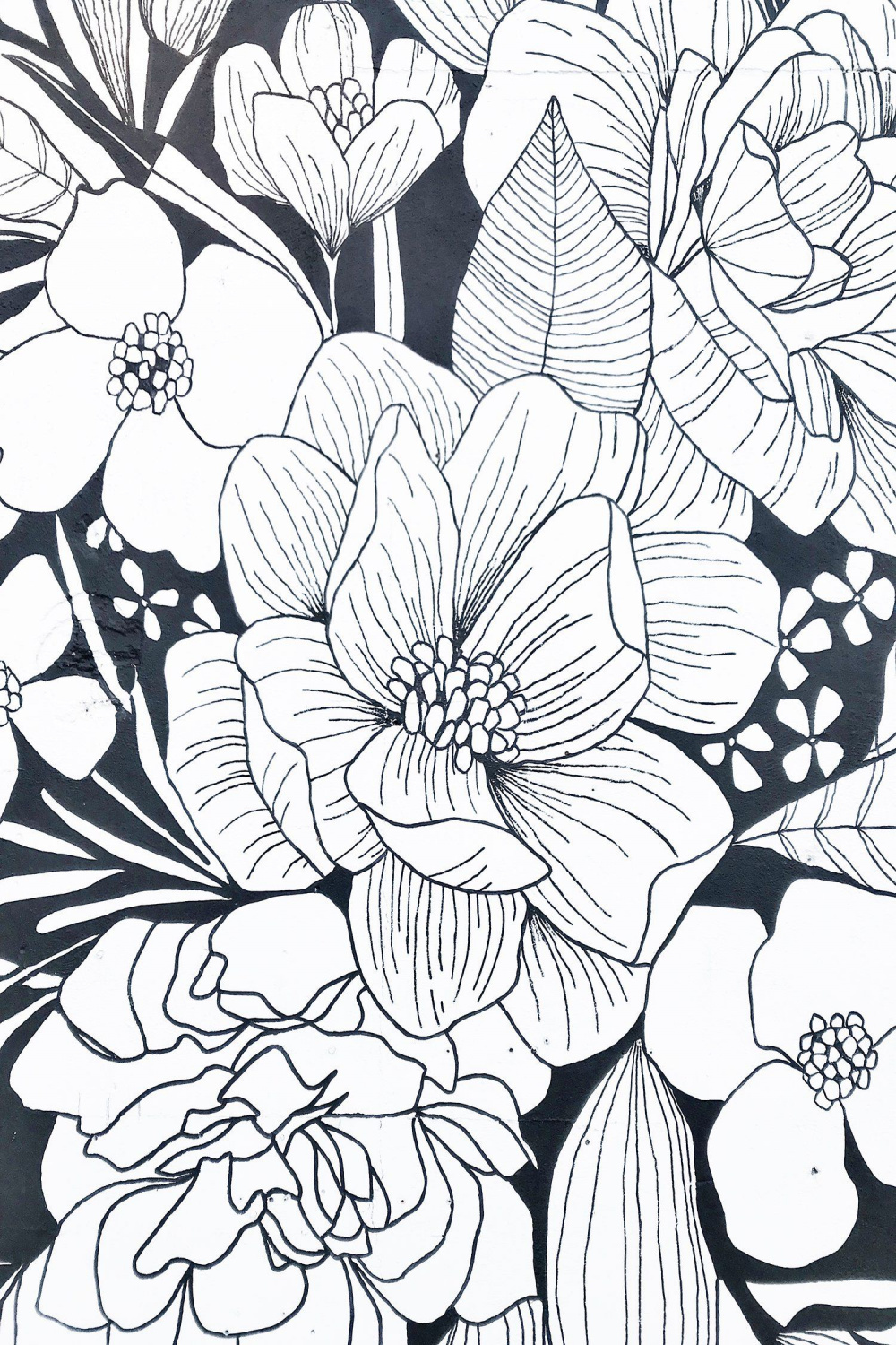 MURALS — ALLI K DESIGN  Flower art drawing, Mural art, Flower drawing