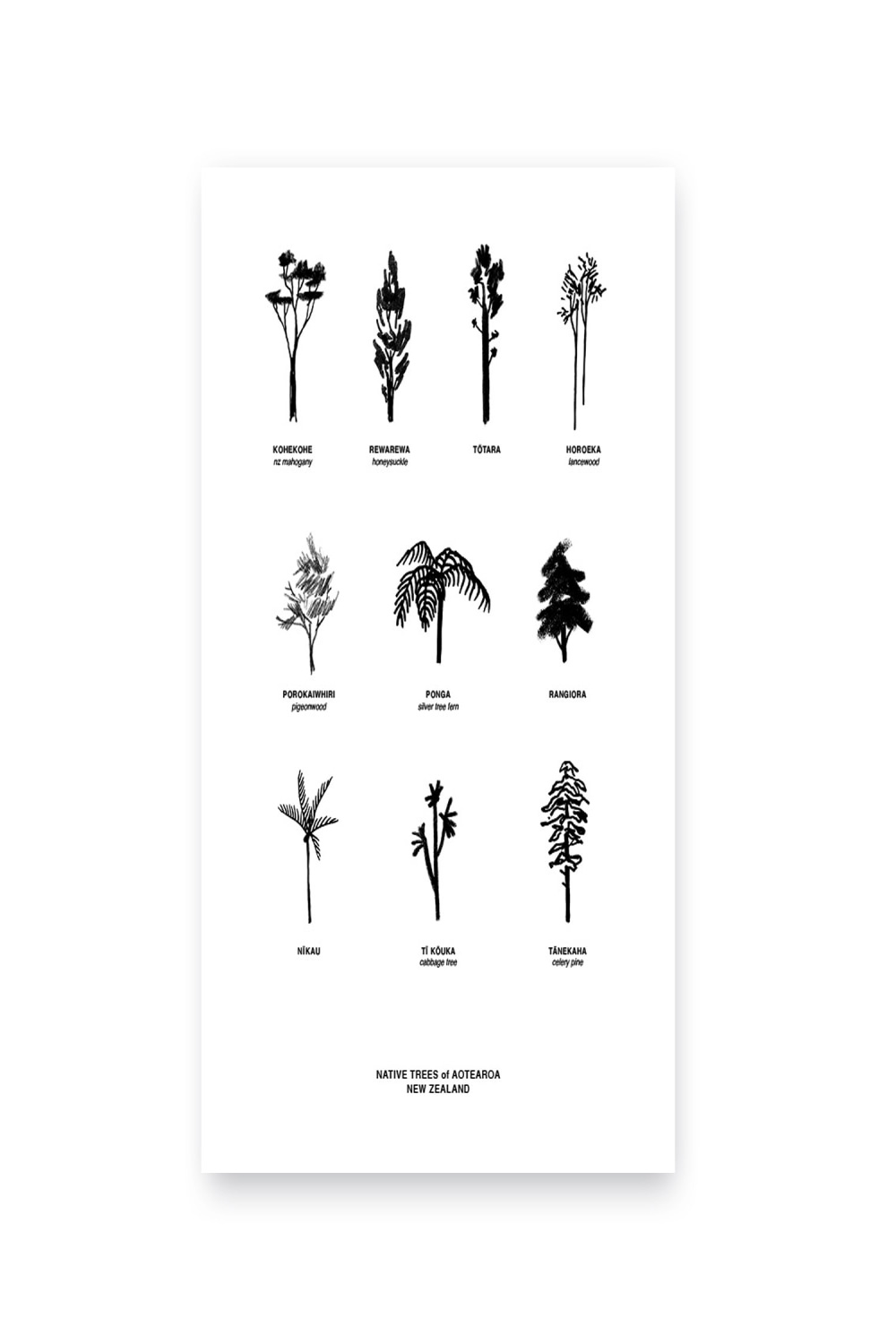 Native Trees of NZ - Art Print