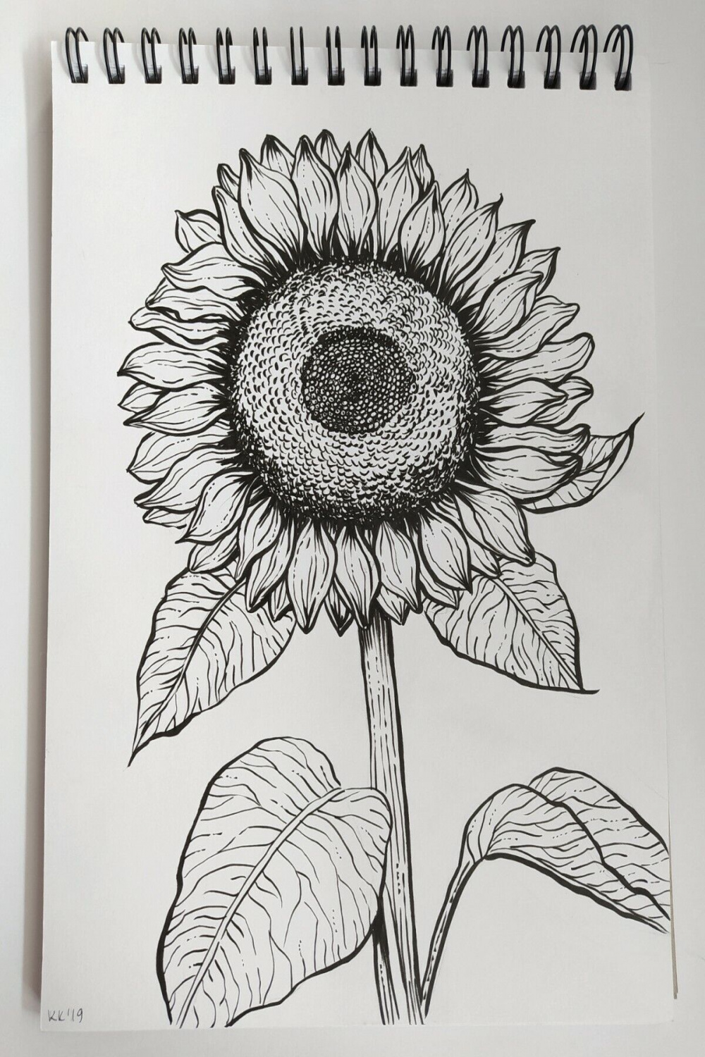 Original ink drawing Sunflower , brush pen on paper  eBay